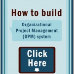 Organizational Project Management