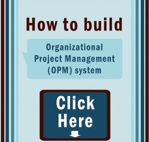 Organizational Project Management